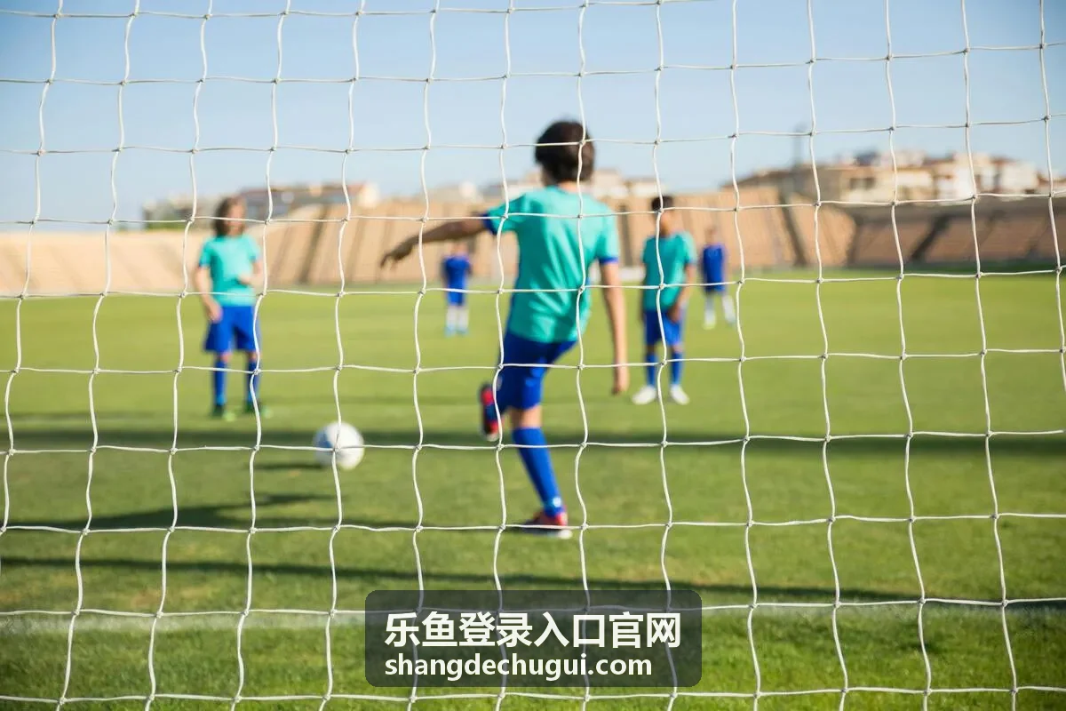乐鱼登录入口平台服务指南封面