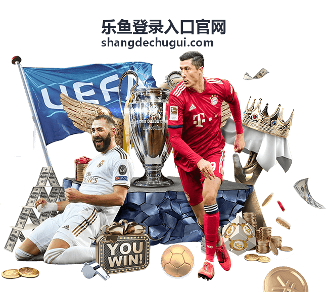 乐鱼平台服务分类功能